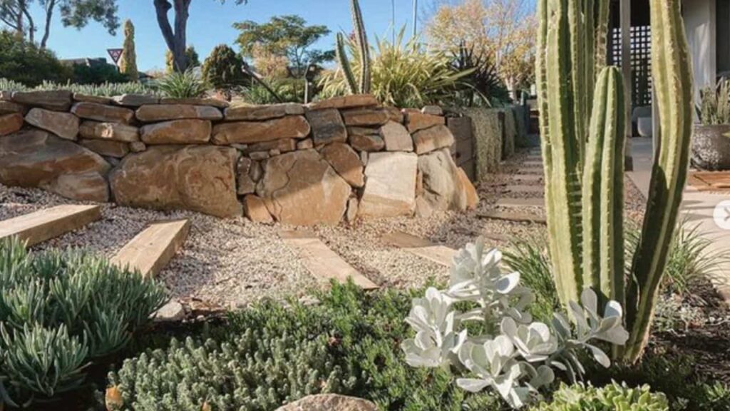 Landscaping Torquay projects